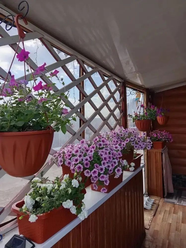 Икегә тапкырланган бәхет