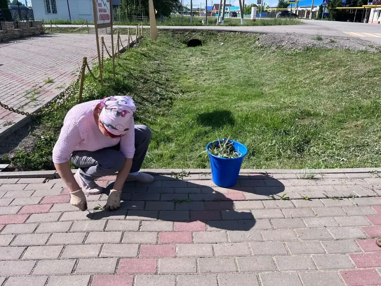 Иске Абдул мәдәният йорты «Чиста кыр» акциясенә кушылды
