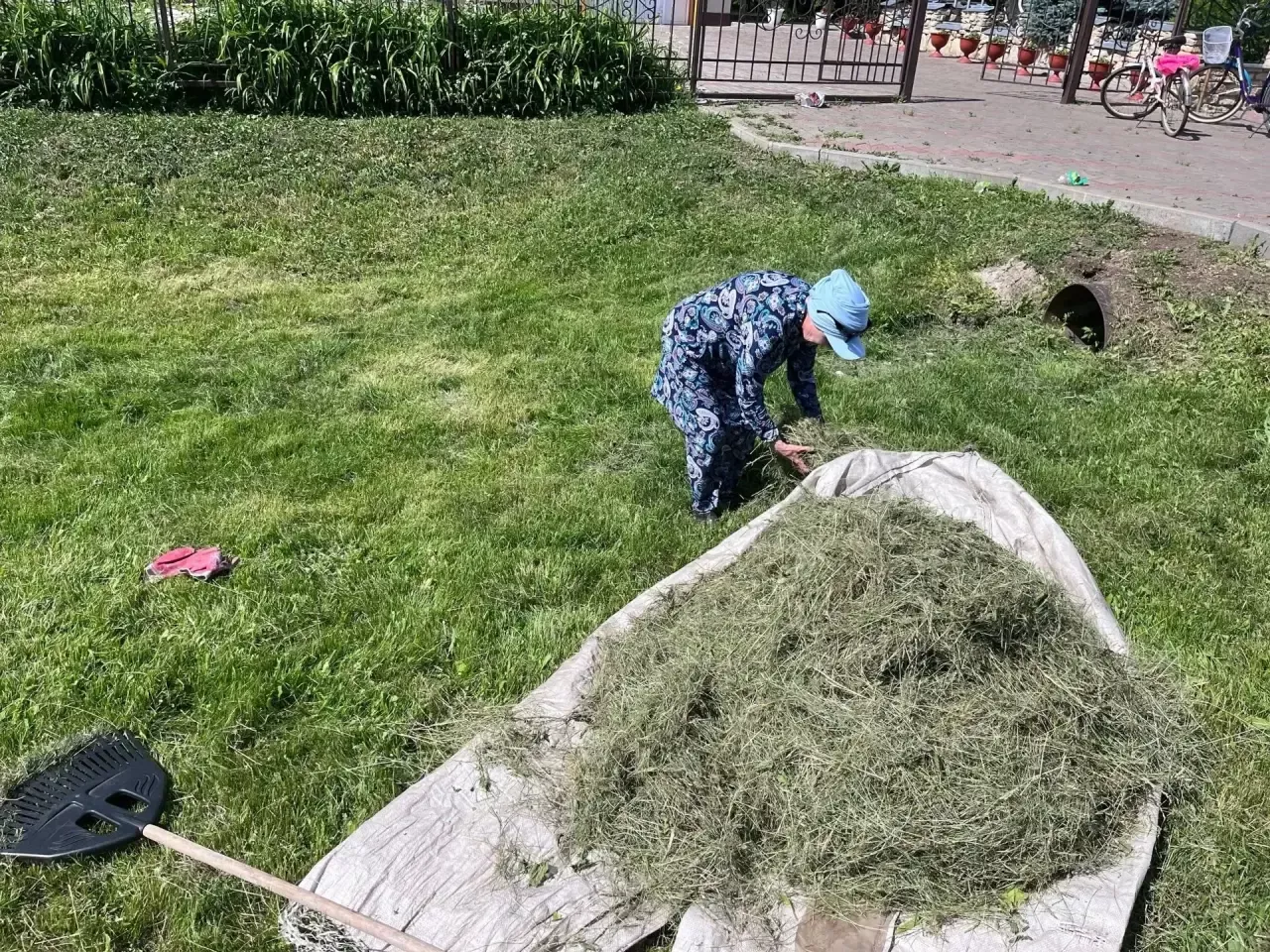 Иске Абдул мәдәният йорты «Чиста кыр» акциясенә кушылды