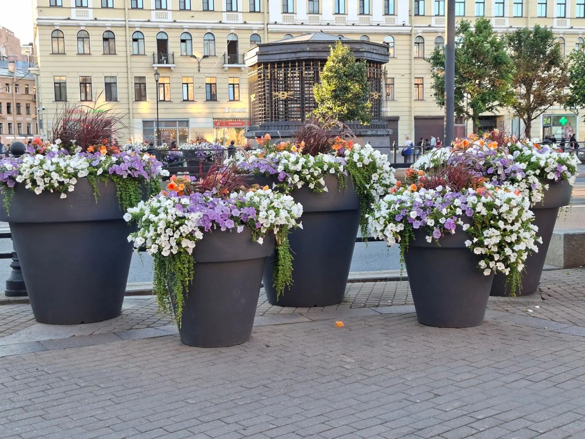 Санкт-Петербургта сәяхәт: шәһәрнең иң матур урыннарын барладык