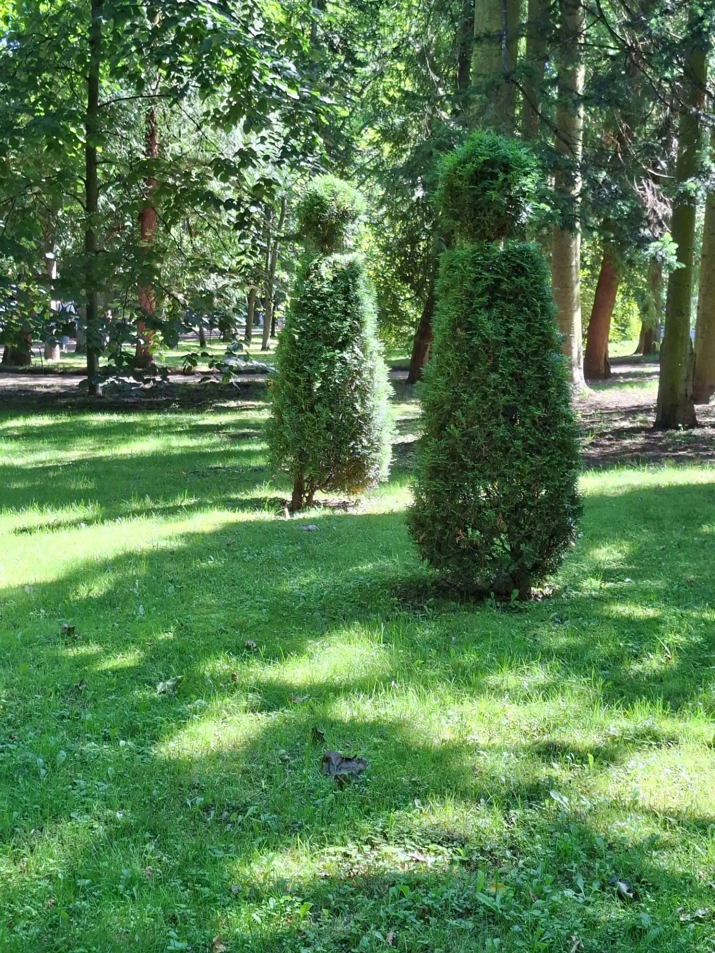 Санкт-Петербургта сәяхәт: шәһәрнең иң матур урыннарын барладык