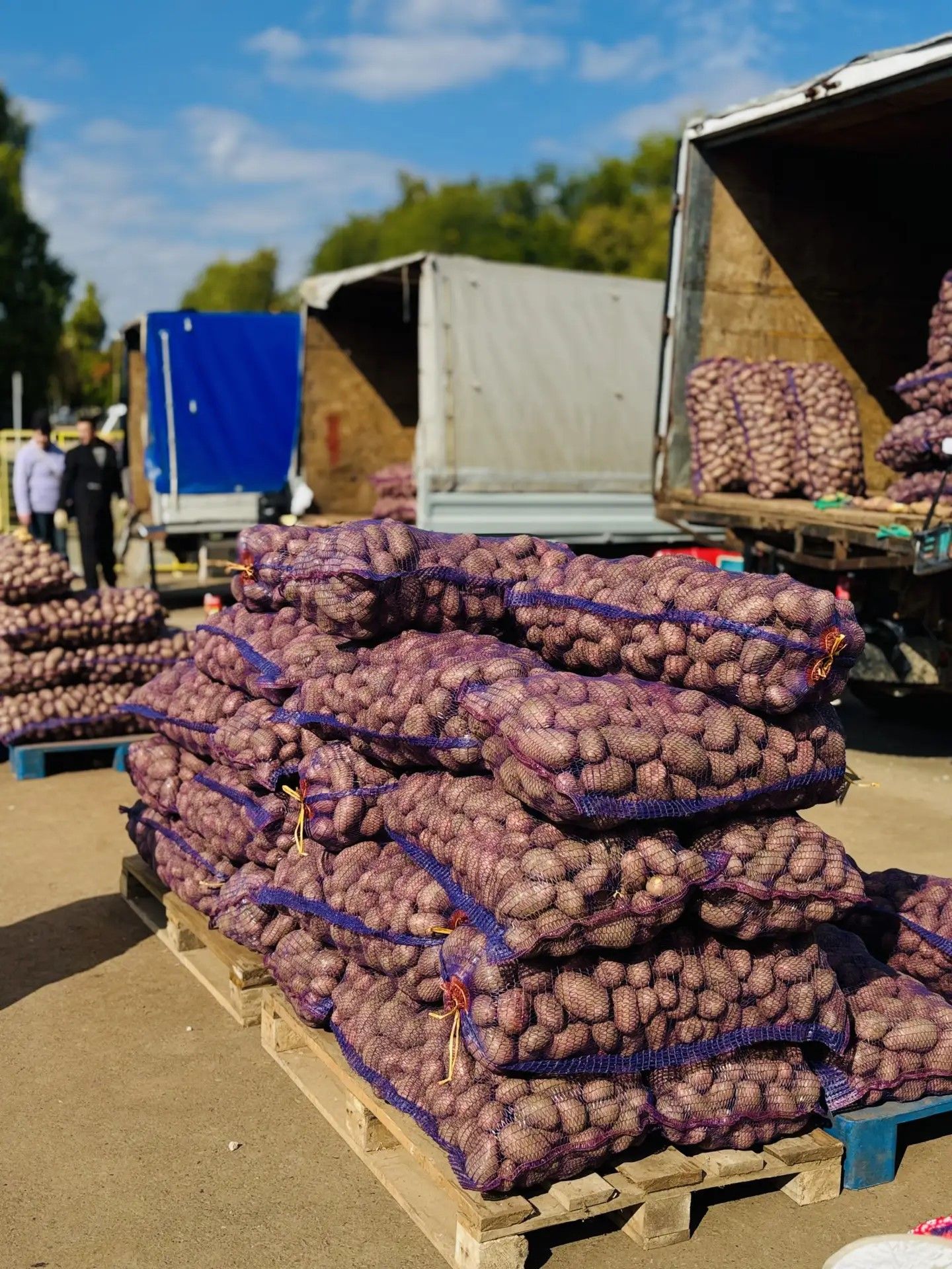 Тукай районы фермерлары Чаллы ярминкәсенә иң сыйфатлы продукциясен алып килде