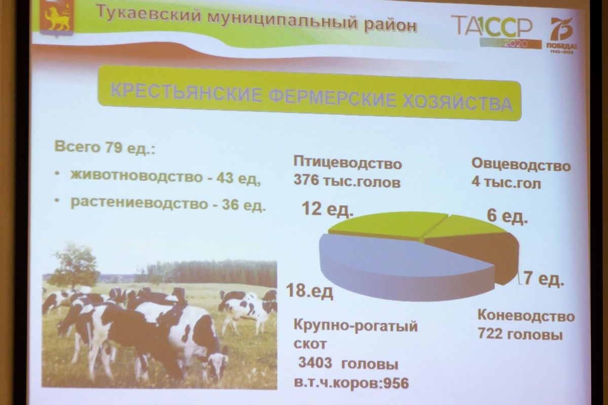 Тукай районы: мөмкинлекләргә чикләр юк