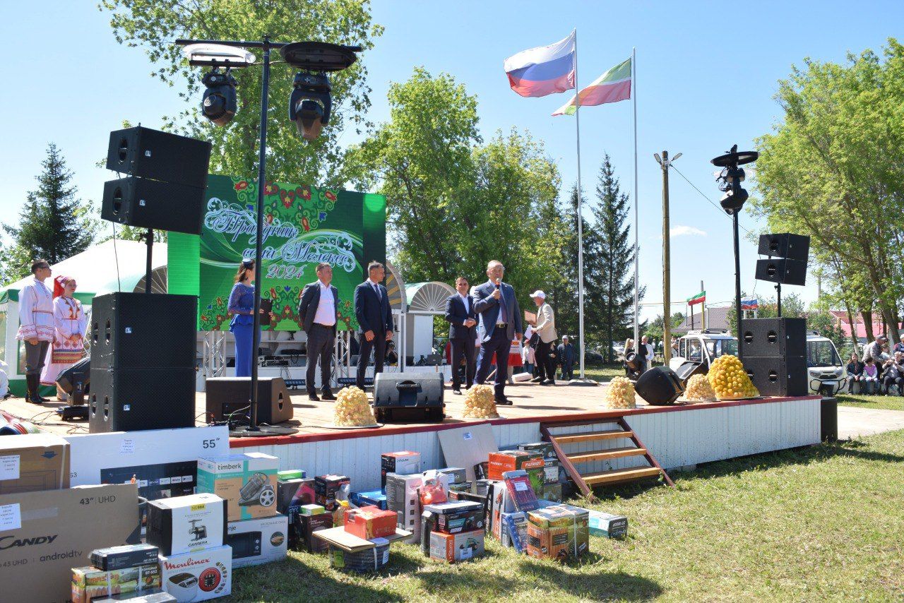 "День села" в Мелекесе: торжество, искусство и благодарность