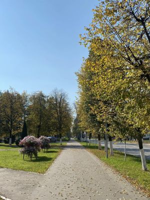 Татарстанда көндез һава +20 градуска кадәр җылыначак
