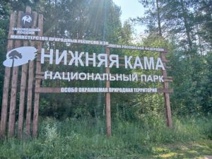 В нацпарке птенец краснокнижных орланов-белохвостов впервые вылетел из гнезда