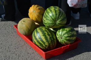 Киселгән карбыз сатып алырга ярыймы?