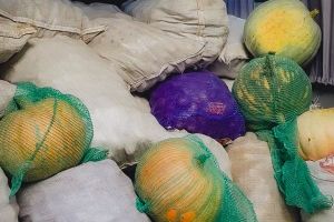 Татарстанда 19 сентябрьдә Гошер көне узачак