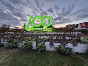 Набережные Челны заняли 19-е место по росту доходов жителей среди городов России