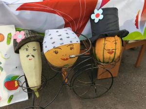 Теләнче-Тамакта узган бакчачылар бәйрәмендә гигант кабаклар шаккатырды