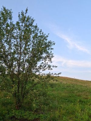 Татарстанда 5 сентябрьдә +27 градуска кадәр җылытачак