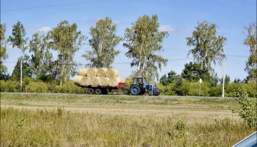 Основа будущего урожая закладывается осенью