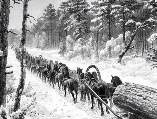 150 лошадей для одного дуба: как село Биклянь строило российский флот