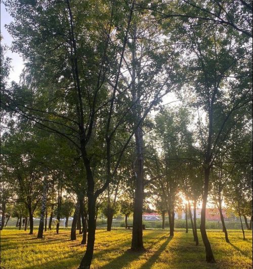 Татарстанда бүген дә коры һава торышы һәм +27˚кадәр җылы булачак