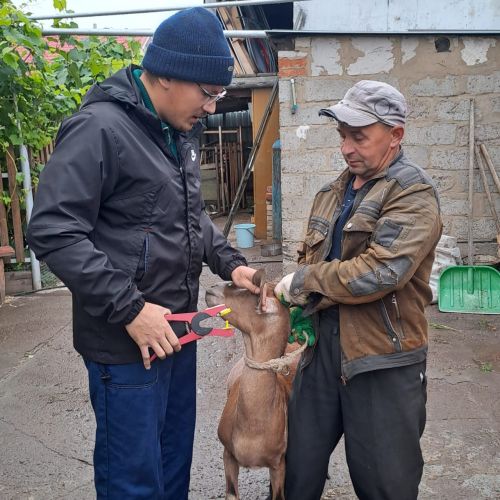 Проводят биркование животных