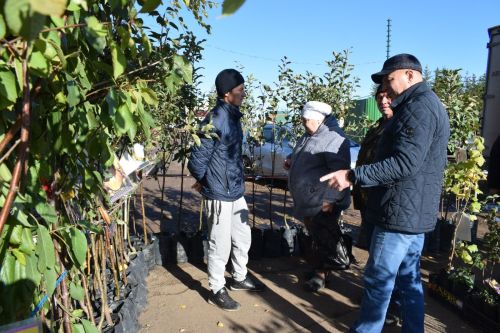 На площадке перед домом культуры села Бетьки прошла сельскохозяйственная ярмарка