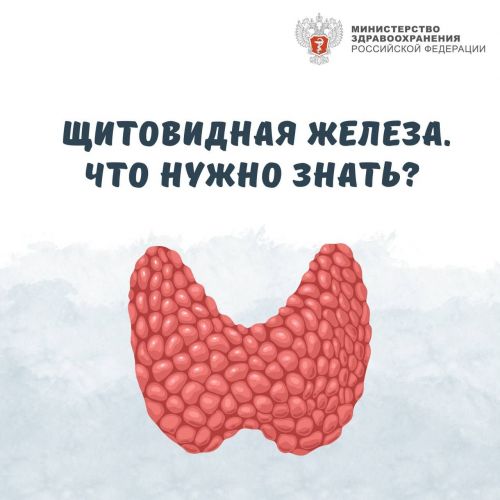 Эксперт: Суточная норма йодированной соли для детей старше 12 лет и взрослых — одна чайная ложка