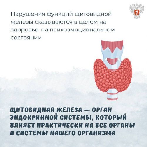 Эксперт: Суточная норма йодированной соли для детей старше 12 лет и взрослых — одна чайная ложка