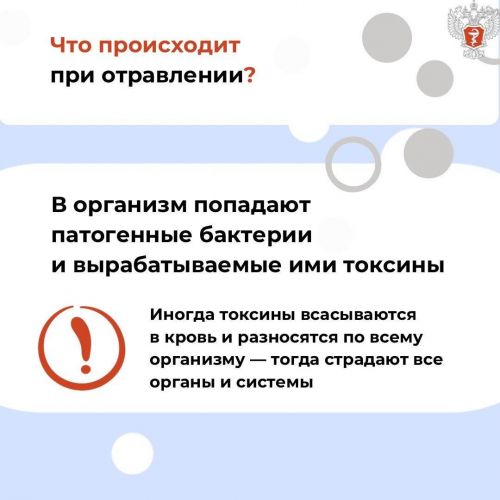 Пищевое отравление: всего несколько часов нарушения температурного режима могут привести к порче продукта