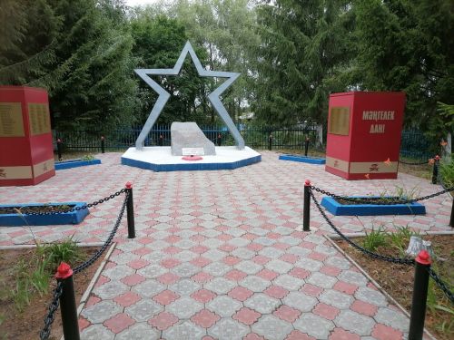 Калмашская сельская библиотека провела акцию «Чистый памятник»