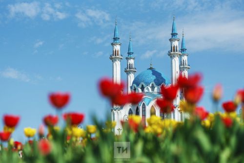 Любовь к Родине: что она означает и как ее проявлять