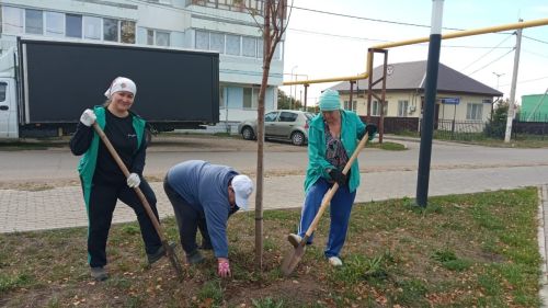 В Князевском сельском поселении прошла экологическая акция «Сделаем краше поселение наше»