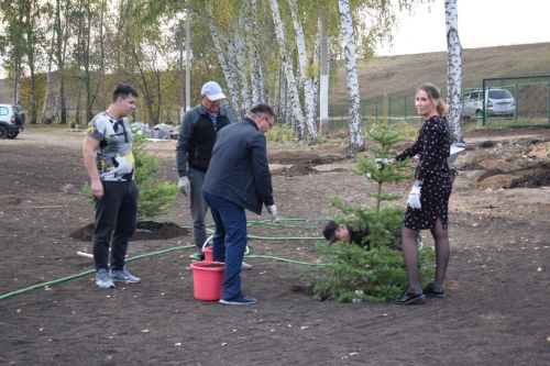 «Балкыш» лагере янында чыршылар утырттылар
