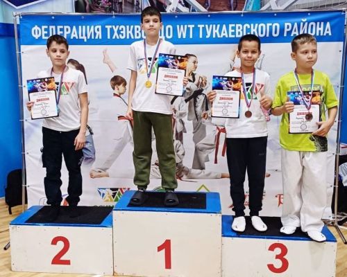 Көрәшеп тә күрсәттеләр