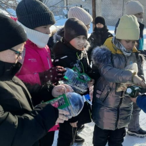 Учащиеся Мелекесской школы помогают птицам зимой: экологическая акция «Покормите птиц» привлекает внимание местного сообщества