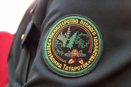 Заместитель министра лесного хозяйства Республики Татарстан обсудил итоги пожароопасного сезона и задачи на будущий год