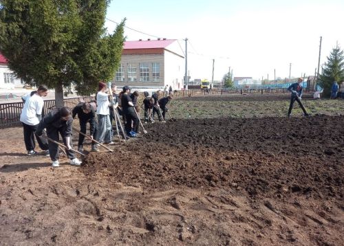 Учащиеся Тлянче-Тамакской школы подготовили грядки для овощей