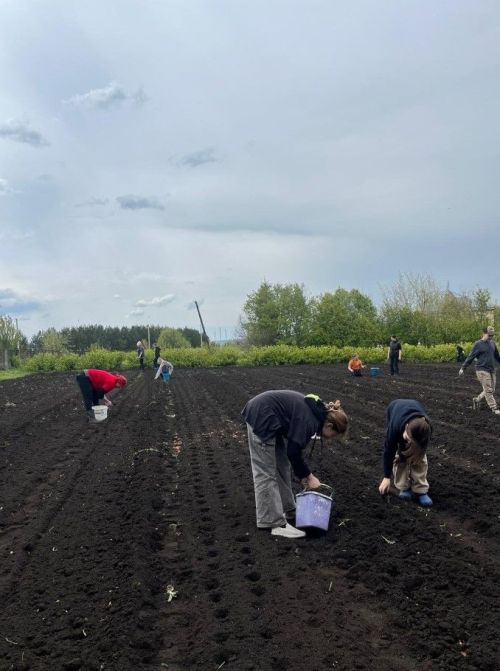 Бурдинская школа: трудовой десант на службе красоты и урожая!