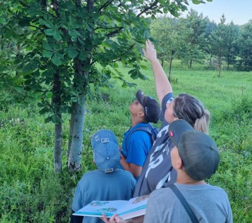 «Сладкое чтение»: библиотечная экскурсия в лесное царство