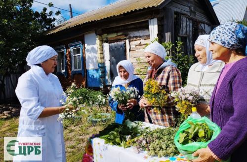 Зеленая аптека у порога: сельчане осваивают искусство травничества