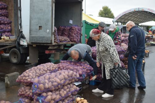 Сельскохозяйственные ярмарки: Где купить качественные продукты по хорошим ценам
