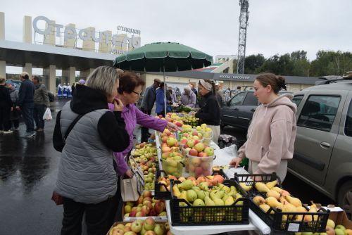 Сельскохозяйственные ярмарки: Где купить качественные продукты по хорошим ценам