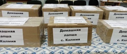 Волонтёры и жители села Калмия объединяют свои усилия