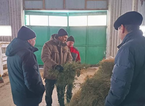 Руководитель Исполнительного комитета Камиль Назмиев посетил ряд сельскохозяйственных предприятий