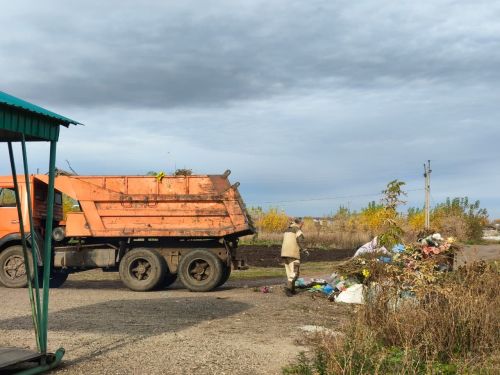 Кайда торсаң, шунда тәртип урнаштыр: Бәткедә масштаблы өмә узды