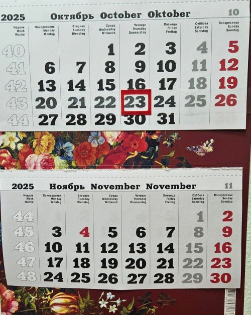 Ноябрь ае озын ял көннәреннән башлана