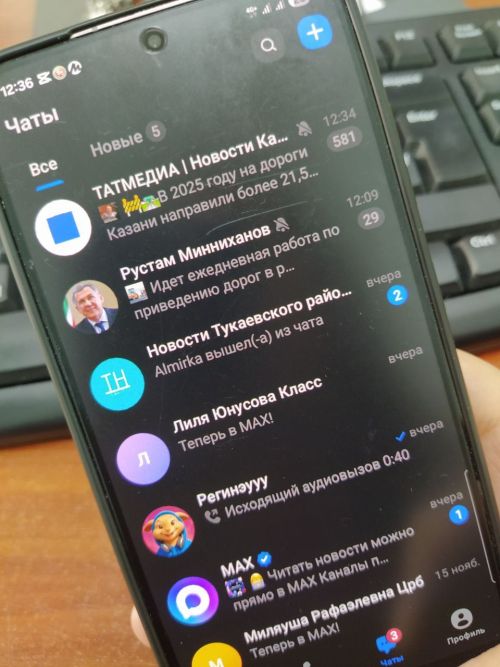 MAXка йорт чатларының 60%тан күбрәге күчкән