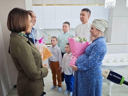 За год в Тукаевском раойне довели газ до 4803 участков и подключили 4295 домов