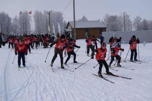 Лыжня России — самая массовая всероссийская лыжная гонка, в которой принимают участие и любители, и профессионалы