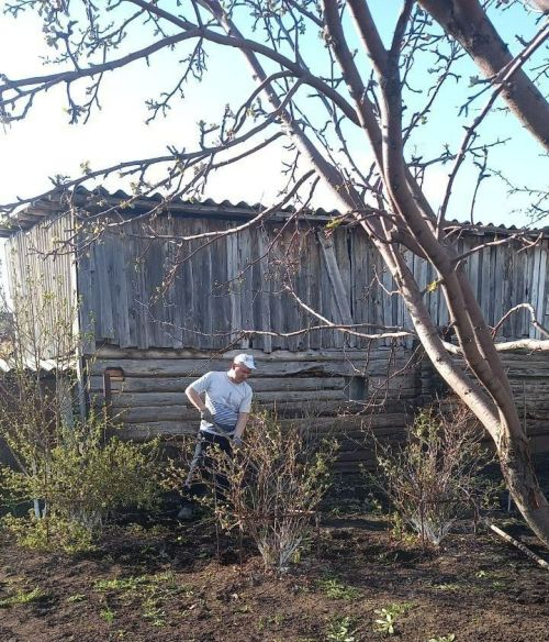 Дачники — штрафы за костры теперь до 500 тысяч