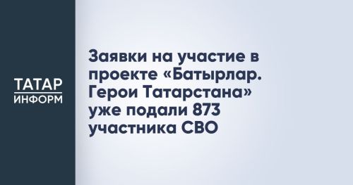 873 участников СВО подали заявку в проект «Батырлар. Герои Татарстана»