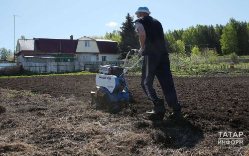 Новый закон - участок должен быть приведен в порядок