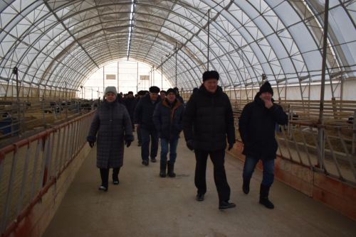Хозяйство имени Сайдашева внедряет новые методы хозяйствования, передовые технологии