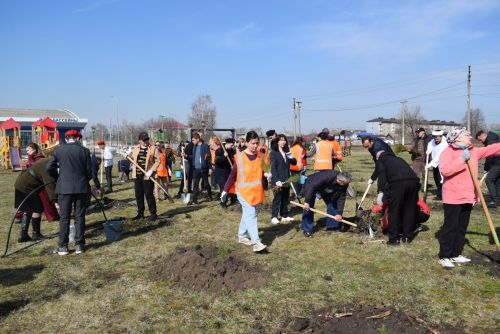 В Круглом Поле заложили Аллею Памяти к 80-летию Победы