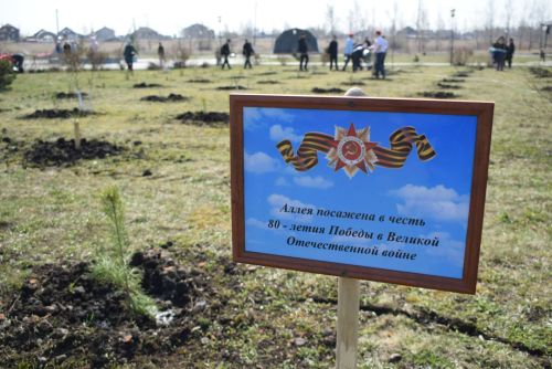 В Круглом Поле заложили Аллею Памяти к 80-летию Победы
