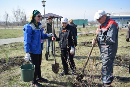 В Круглом Поле заложили Аллею Памяти к 80-летию Победы